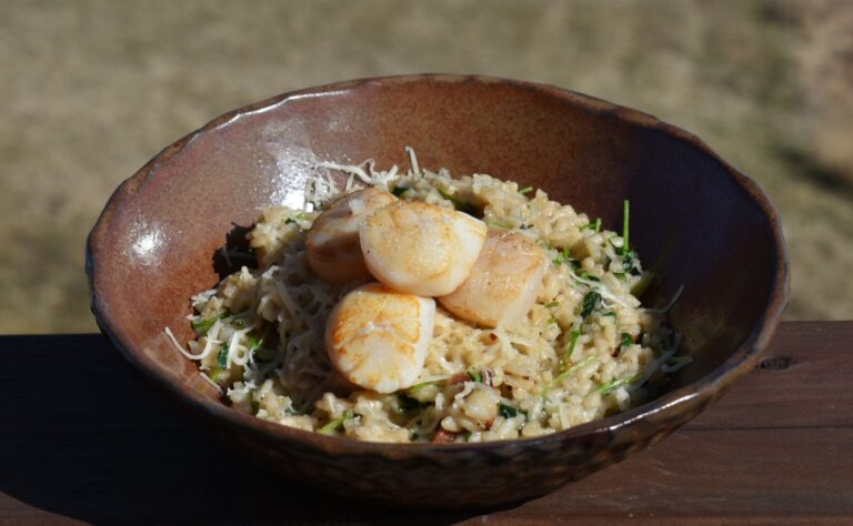 Plat de risotto aux pétoncles, pousses de pois, bacon et tomme des demoiselles