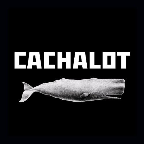 Cachalot Foodtruck – vroum vroum miam miam